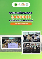 รายงานโครงการ sandbox ภาคีร่วมใจสร้างสายใยนมแม่