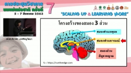 การประชุมเชิงปฏบัติการ 1: Soft Skills to Support Breastfeeding : Caring with Sensitivity and Empathy (Role Play)